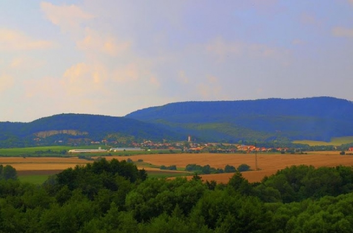 Biblický les - cesta za Kristom