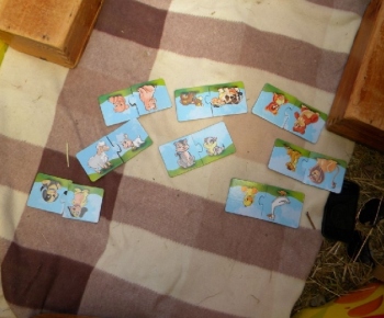Biblický les - cesta za Kristom
